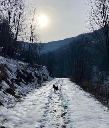 Little Canadian Lodge, Limone Appartement *